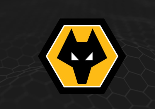 wolverhampton wanderers football club
