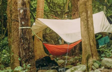 Camping rope uses and tips
